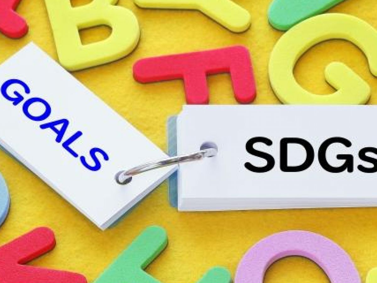 Sdgs 日本の企業でいまはどのような活動が必要か 地域ブランドnews