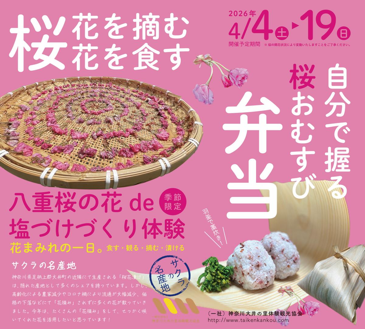 桜の新しい楽しみ方を提案！〜花摘み体験と塩漬けづくりで、桜を身近に