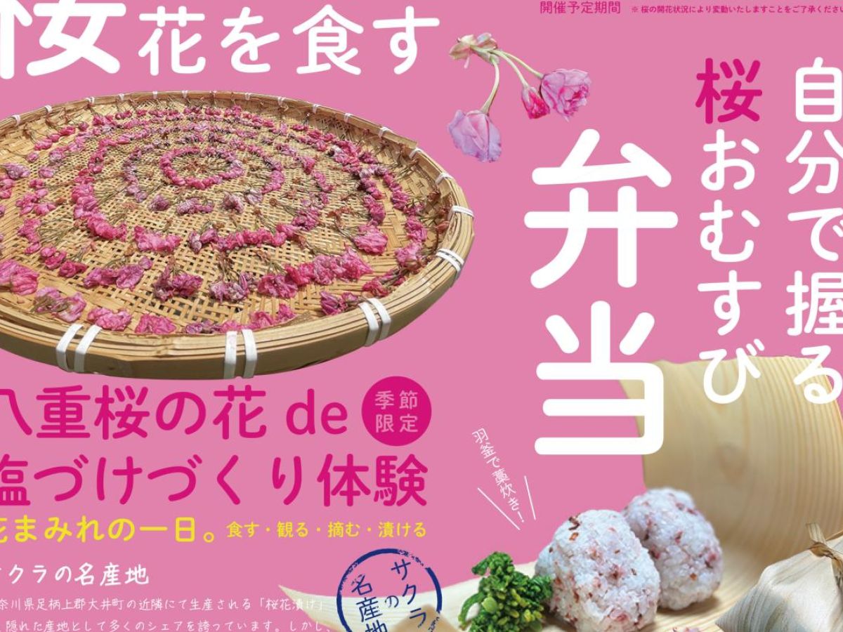花摘みの連作 桜の新しい楽しみ方を提案！〜花摘み体験と塩漬けづくりで、桜を身近に