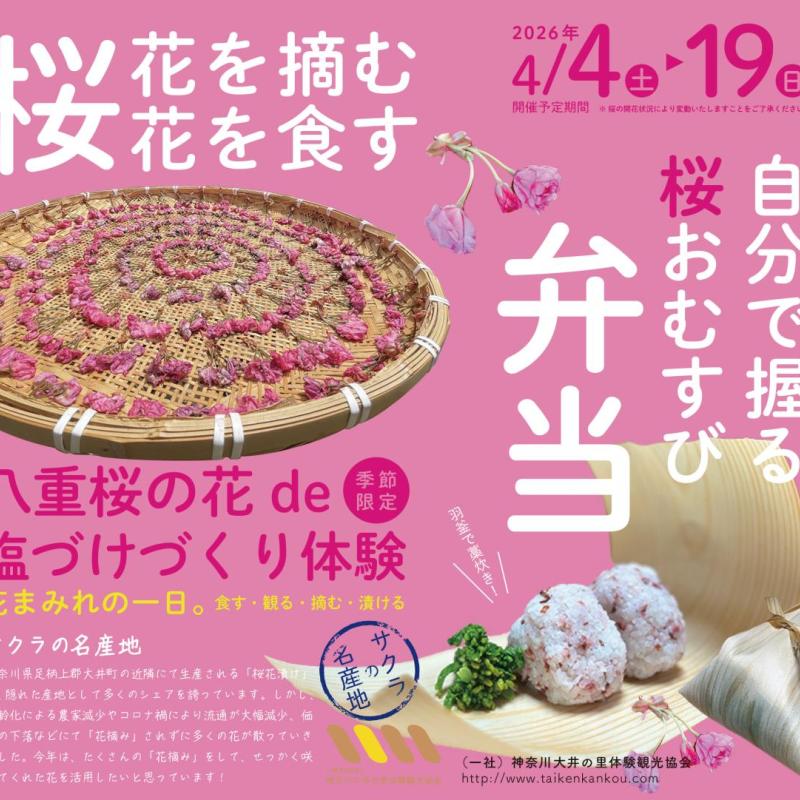 桜の新しい楽しみ方を提案！〜花摘み体験と塩漬けづくりで、桜を身近に味わうチャンス