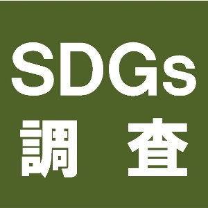 地域版SDGs調査