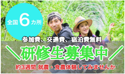 研修生募集